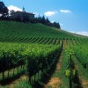 wine_lombardy_franciacorta_hills_bresciatourism
